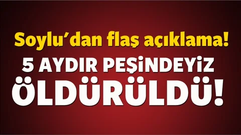 Bakan Soylu'dan flaş açıklamalar