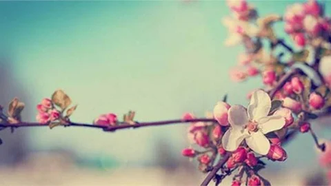 Cemre düşüyor, havalar ısınıyor