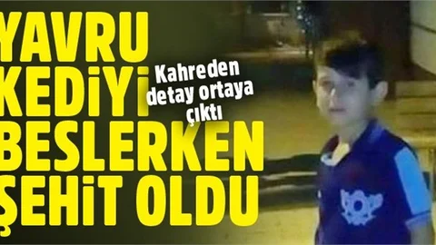 11 yaşındaki Ahmet Oktay Günak, yavru kediyi beslerken şehit oldu