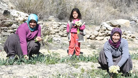 ERDEMLİ DE İSTEDİ, BÜYÜKŞEHİR YETİŞTİ