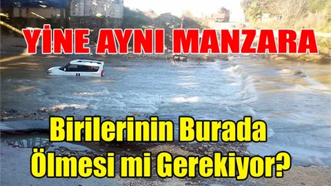 Mersin'de Deliçay'da Yine Can Pazarı