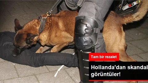 Hollanda Polisi Türklere Köpeklerle Saldırdı