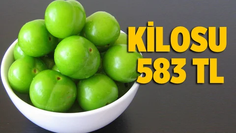 Yılın İlk Can Eriği Mersin'de Toplandı