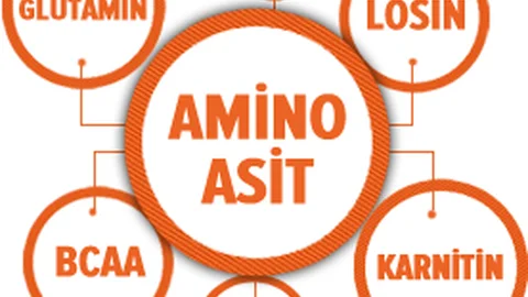 Amino asit nedir? Faydaları nelerdir?