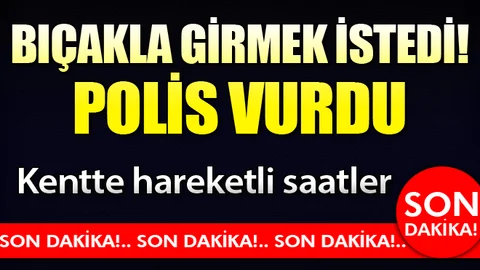 Nevruz alanına bıçakla girmek isteyen kişi vuruldu