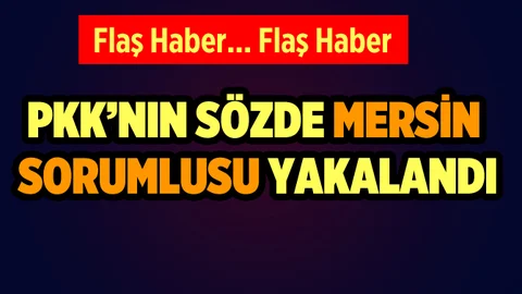 PKK'nın Sözde Mersin Sorumlusu Yakalandı