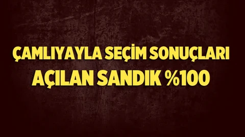 Çamlıyayla Referandum Sonuçları 2017, Evet Hayır Oy Oranları