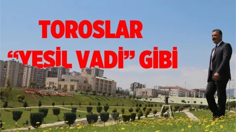 Toroslar'da Yeşil Alanların Bakım Çalışması Tamamlandı