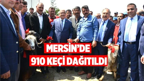 Büyükşehir’den Küçükbaş Hayvancılığa Destek