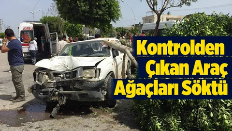 Tarsus kontrolden çıkan araç ağaçları devirdi