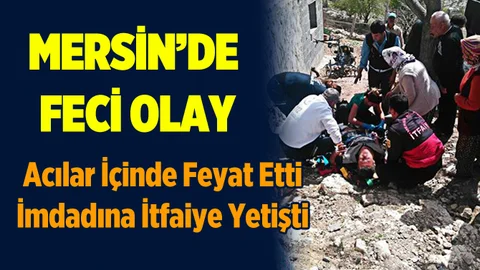 Ayağını Çapa Makinasına Sıkıştırdı