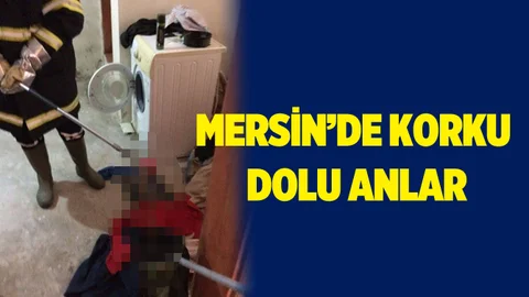 Çamaşır Sepetin Yılan Çıktı