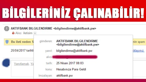 "Hesabınıza Para Geldi" Başlıklı Sahte Maile Dikkat Edin