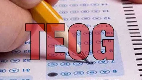 MEB açıkladı! Yarın 14.00'te yayınlanacak