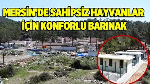 Kamp Alanı Değil Barınak