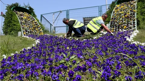 Mersin, Çiçekleriyle Yaza Hazır