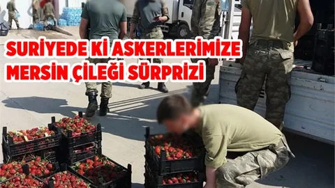 Suriye’de Görev Yapan Askerlerimize Anamur Çileği