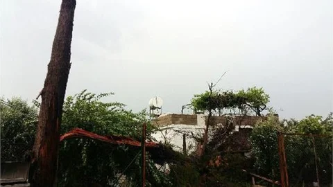 Mersin'de Fırtına Ağaçları Devirdi. Bir Aile Evde Mahsur Kaldı