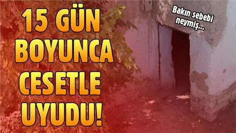 2 kardeş annelerinin cesediyle 15 gün yaşadılar