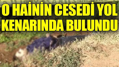 Polise saldıran teröristin cesedi yol kenarında bulundu