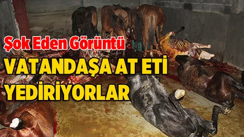Et Baskınında Kesilmiş Atlar Bulundu