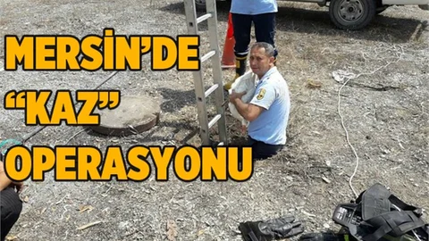 Tarsus'ta İtfaiye Ekipleri Kuyuya Düşen Kaz İçin Seferber Oldular