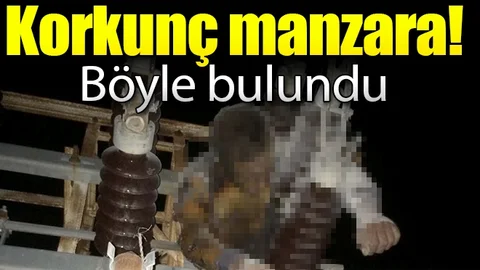 Tamir için çıktığı elektrik direğinde can verdi