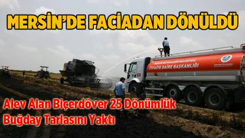 Alev Alan Biçerdöver, 25 Dönüm Ekili Alanı Yaktı
