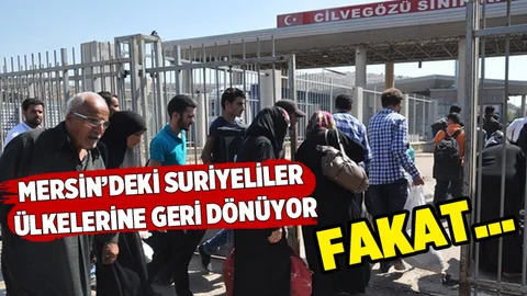 Suriyeli mülteciler ülkelerine geri dönüyor!