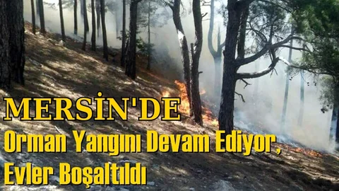 Mersin'in Ciğerleri Yanıyor.