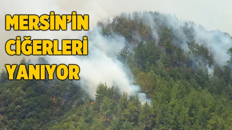 Anamur'da Kısmen Sönen Yangın Yeniden Başladı