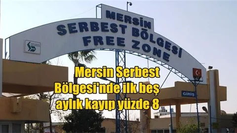 Mersin Serbest Bölgesi'nde ilk beş aylık kayıp yüzde 8