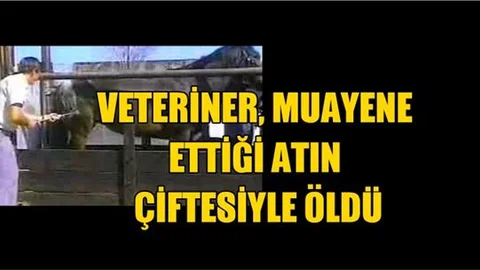 Pozantı'da Veteriner, muayene ettiği atın çiftesiyle öldü