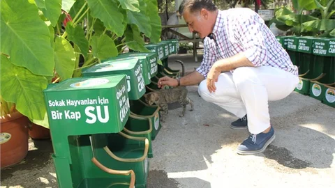 Toroslar'dan Sokak Hayvanları İçin Örnek Çalışma