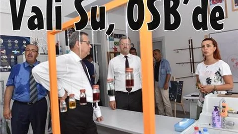 Vali Su, OSB’de