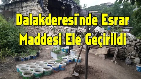Toroslar Dalakderesi'nde Esrar Maddesi Ele Geçirildi