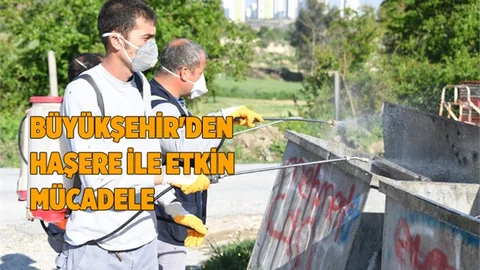 Büyükşehir'den Haşare ile Etkin Mücadele