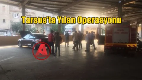 Tarsus’ta Otomobile Yılan Girdi