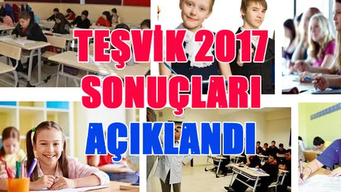 Özel Okul Teşvik Sonuçları 2017