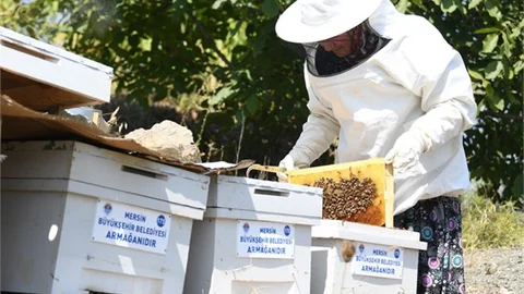 Büyükşehir ‘Arı’ Gibi Çalışıyor