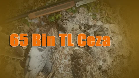 Yırtıcı Kuşları Avlayanlara 65 Bin TL Para Cezası!