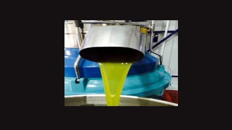 Mut'ta 25 Bin Ton Zeytinyağı Rekoltesi Bekleniyor