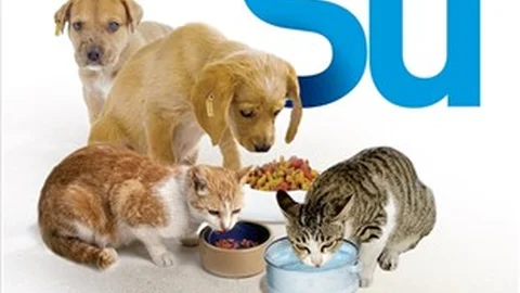 Hayvanların Yaşam Alanlarını Yok Etmeyelim