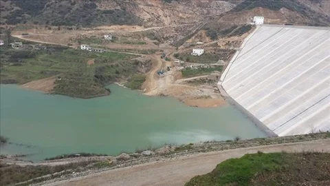 Kıbrıs´a Dragon Çayı Hayat Verecek