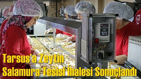 Tarsus’a Zeytin Salamura Tesisi İhalesi Sonuçlandı