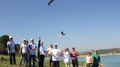 26 Yabani Hayvan Doğaya Bırakıldı