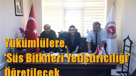 Yükümlülere, ‘Süs Bitkileri Yetiştiriciliği’ Öğretilecek
