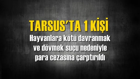 Tarsus'ta Hayvanlara Kötü Davranmak Suçundan Para Cezası