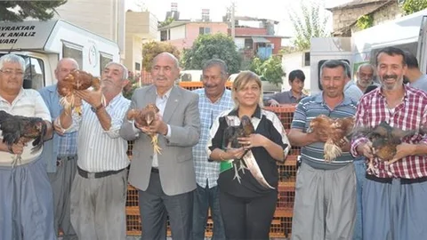 Tarsus Ziraat Odası köylülere bin 350 tavuk dağıttı