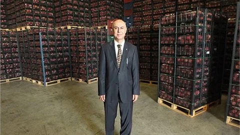 Nar’da Hasat Sezonu Başladı